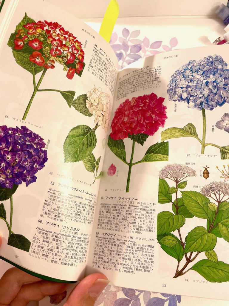 牧野原色図鑑がとてもおすすめ！おすすめの資料（植物編） | 枯葉庭園-水彩読本